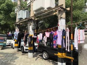 宜兴事件爆料最新情况,真相逐步浮出水面
