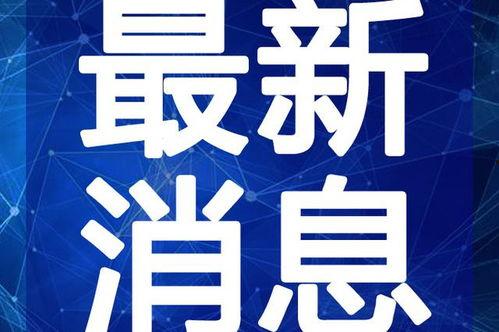 聂导直播爆料最新消息视频,最新消息视频深度解析