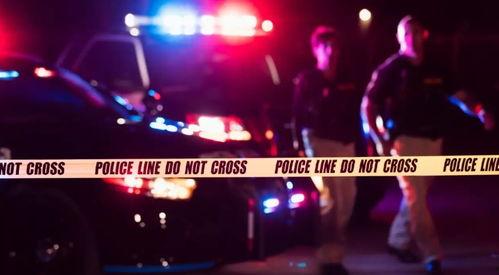 淡水夜钓大事件爆料最新,激情四溢的夜幕捕鱼盛宴